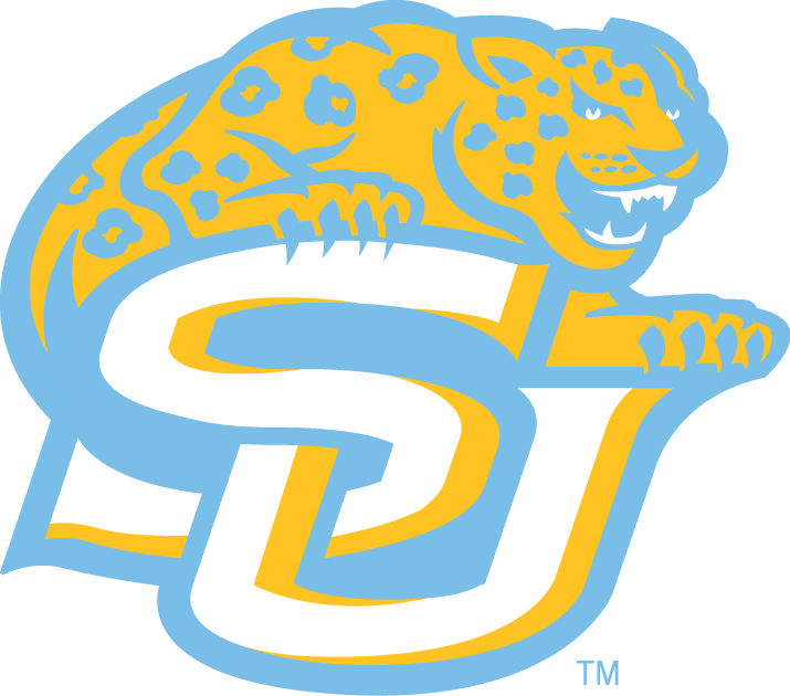 Southern Jaguars 2001-Pres Alternate Logo v3 iron on transfers for T-shirts